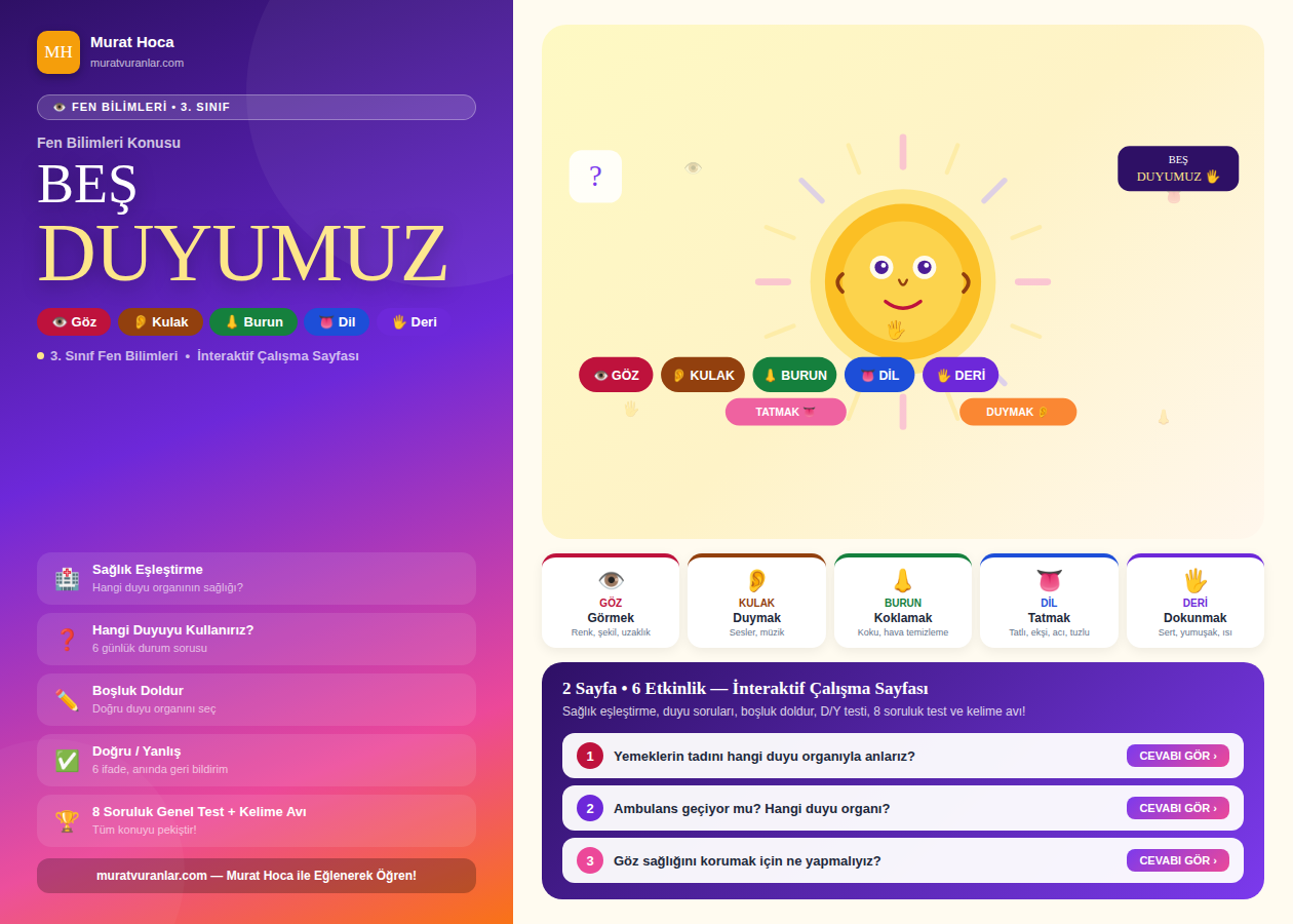 Beş Duyumuz — Fen Bilimleri | 3. Sınıf İnteraktif Çalışma Sayfası